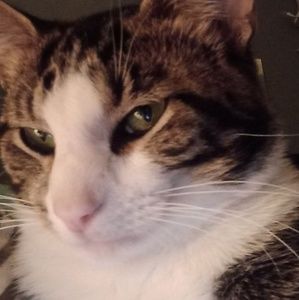 Meet your Posher, Patty